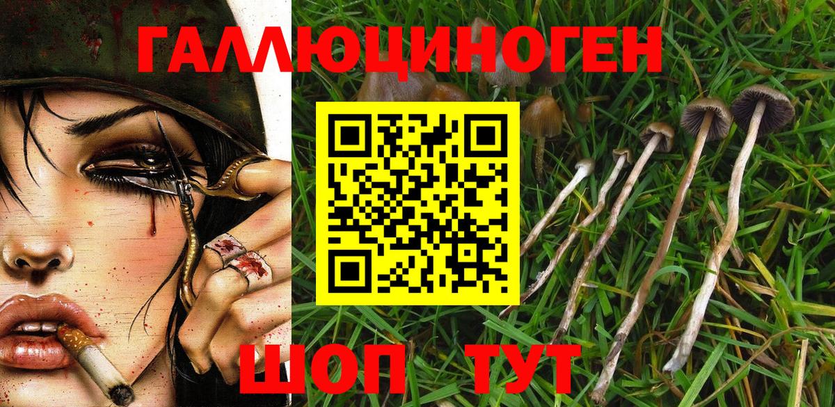Псилоцибиновые грибы мицелий Ярославль